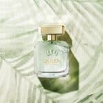 عطر كوين اوف سيداكشن من انطونيو بانديراس