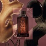 ⁦عطر ذا سينت أبسوليوت للرجال من بوس⁩ - الصورة ⁦2⁩