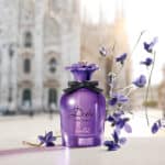 عطر دولتشي فايوليت من دولتشي آند غابانا
