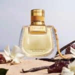 عطر كلوي نوماد ناتشوريل او دو بارفيوم