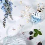 ⁦عطر دايزي دريم تواليت  من مارك جاكوبس⁩ - الصورة ⁦2⁩