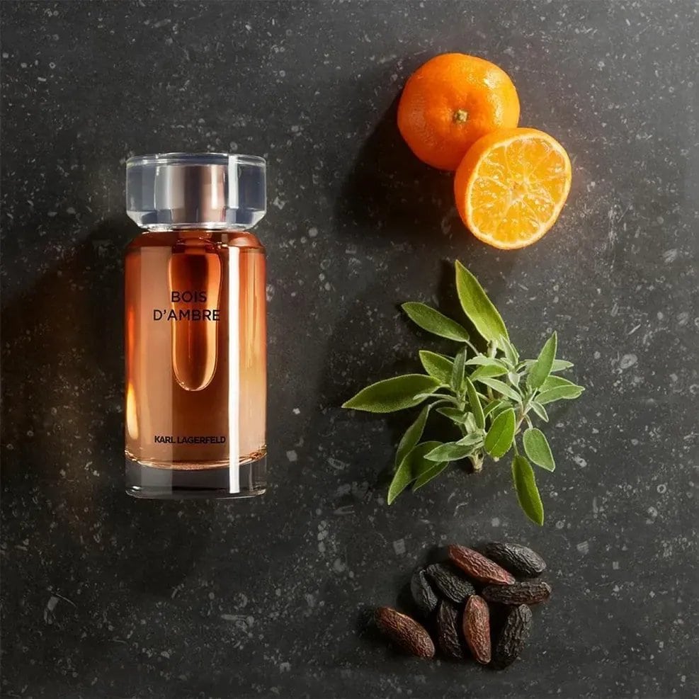Karl Lagerfeld Bois D'Ambre عطر بويز دي عنبر او دو تواليت من كارل لاغرفيلد - الصورة 1