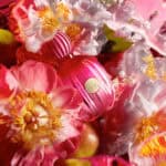 ⁦عطر ذا ايكون النسائي او دو بارفيوم من أنطونيو بانديراس⁩ - الصورة ⁦3⁩