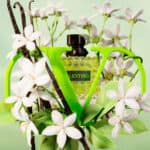 عطر بورن إن روما غرين سترافغانزا النسائي من فالنتينو