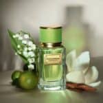 يجسد عطر فيلفت موجيتو من دولتشي اند غابانا