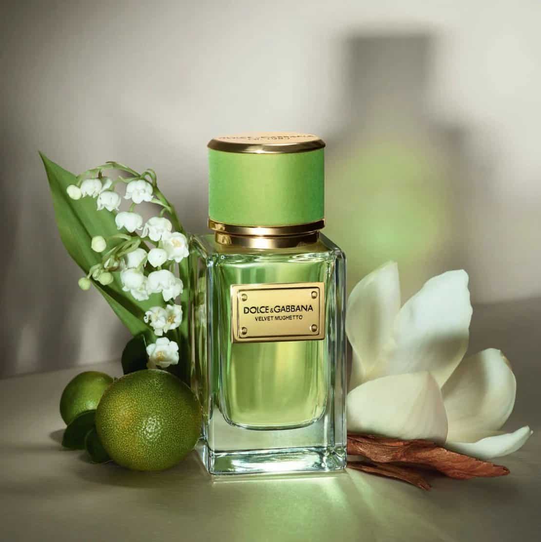 Dolce & Gabbana Velvet Mughetto يجسد عطر فيلفت موجيتو من دولتشي اند غابانا - الصورة 1