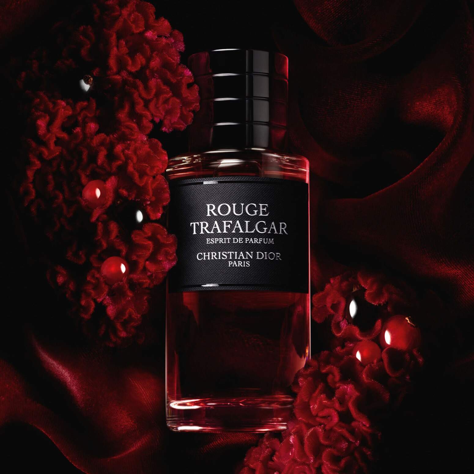 ⁦عطر روج ترافلجار اسبريت دي بارفيوم من ديور⁩ - الصورة ⁦2⁩