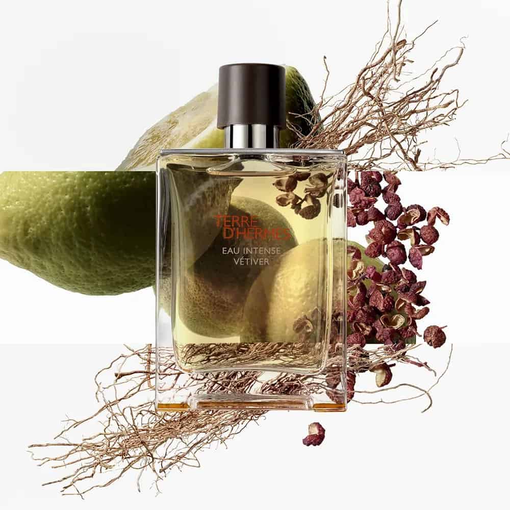 Hermès Terre d'Hermès Eau Intense Vétiver عطر تيري دي هيرمس او انتينس فيتفير من هيرمس - الصورة 1