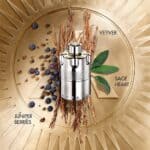 عطر ازارو وانتد او دو بارفيوم