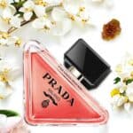 عطر برادوكسي إنتنس من برادا