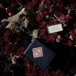 عطر ميستيك اكسبرينس من إنيشيو