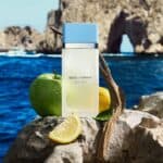 عطر لايت بلو النسائي تواليت من دولتشي غابانا