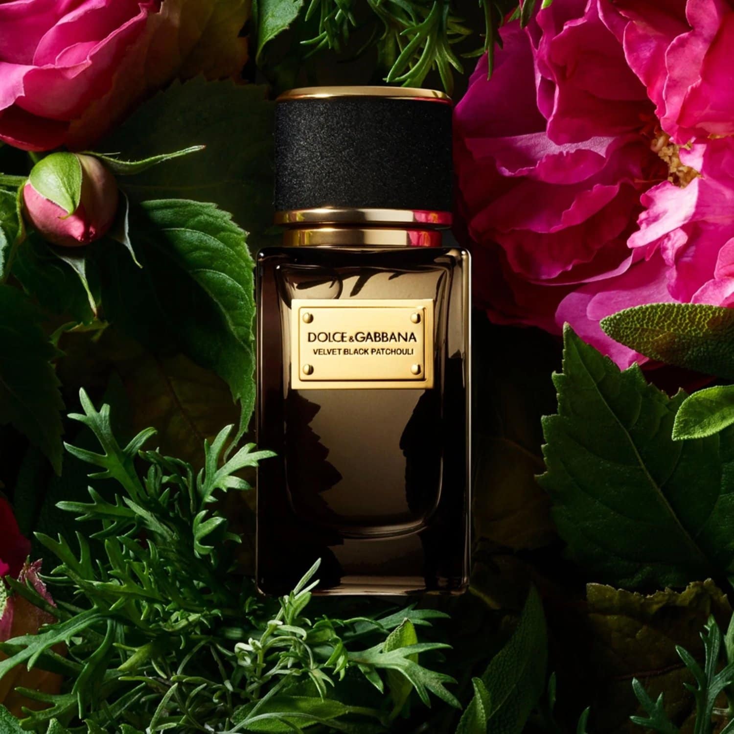 Dolce & Gabbana Velvet Black Patchouli EDP عطر فيلفيت بلاك باتشولي من دولتشي اند غابانا - الصورة 1