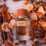 عطر فيلفت إكزوتيك ليذر من دولتشي آند غابانا