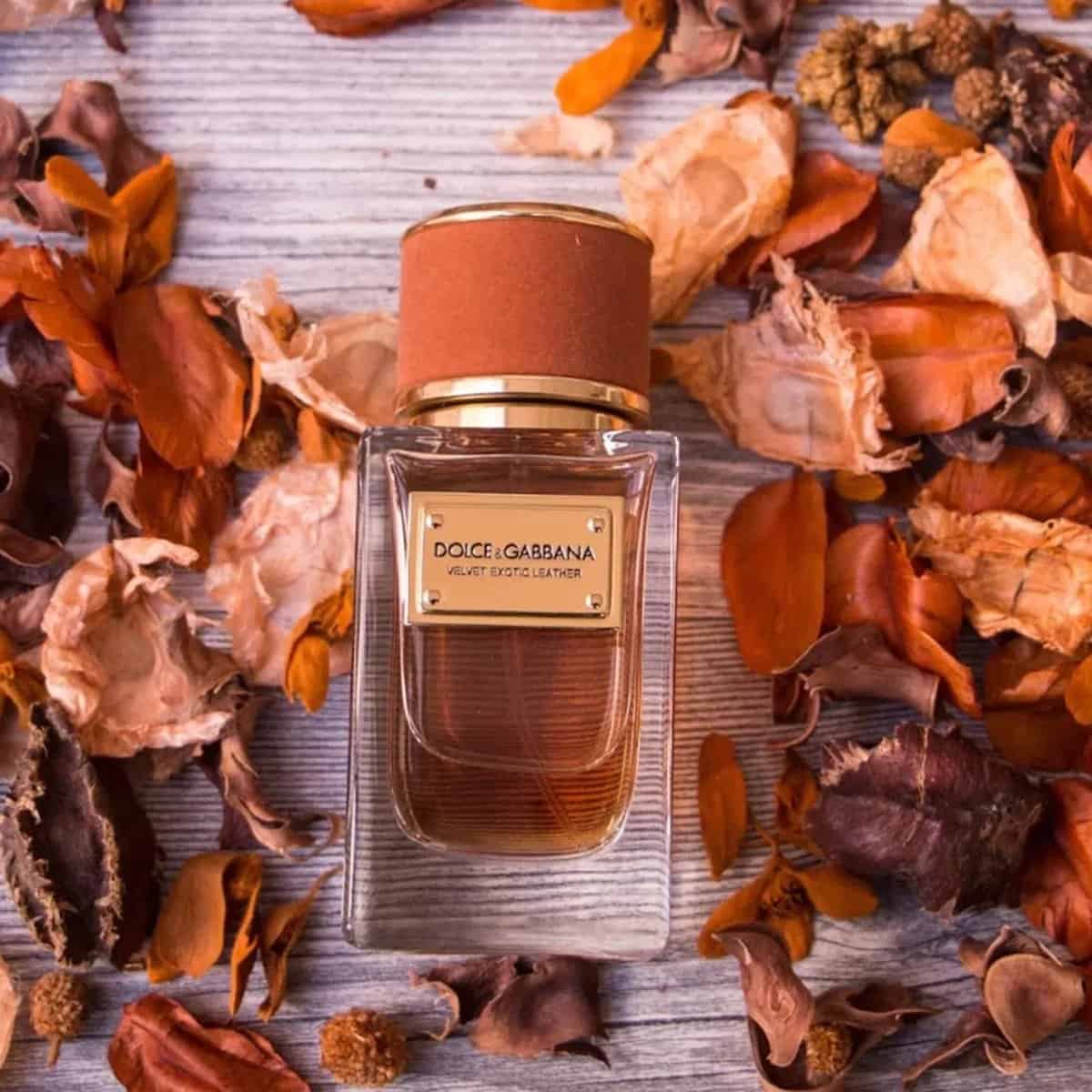 Dolce & Gabbana Velvet Exotic Leather EDP عطر فيلفت إكزوتيك ليذر من دولتشي آند غابانا - الصورة 1