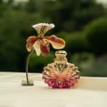 عطر سولاي لونار من لاليك