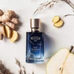 عطر بلو تاليسمان من اكس نيهيلو