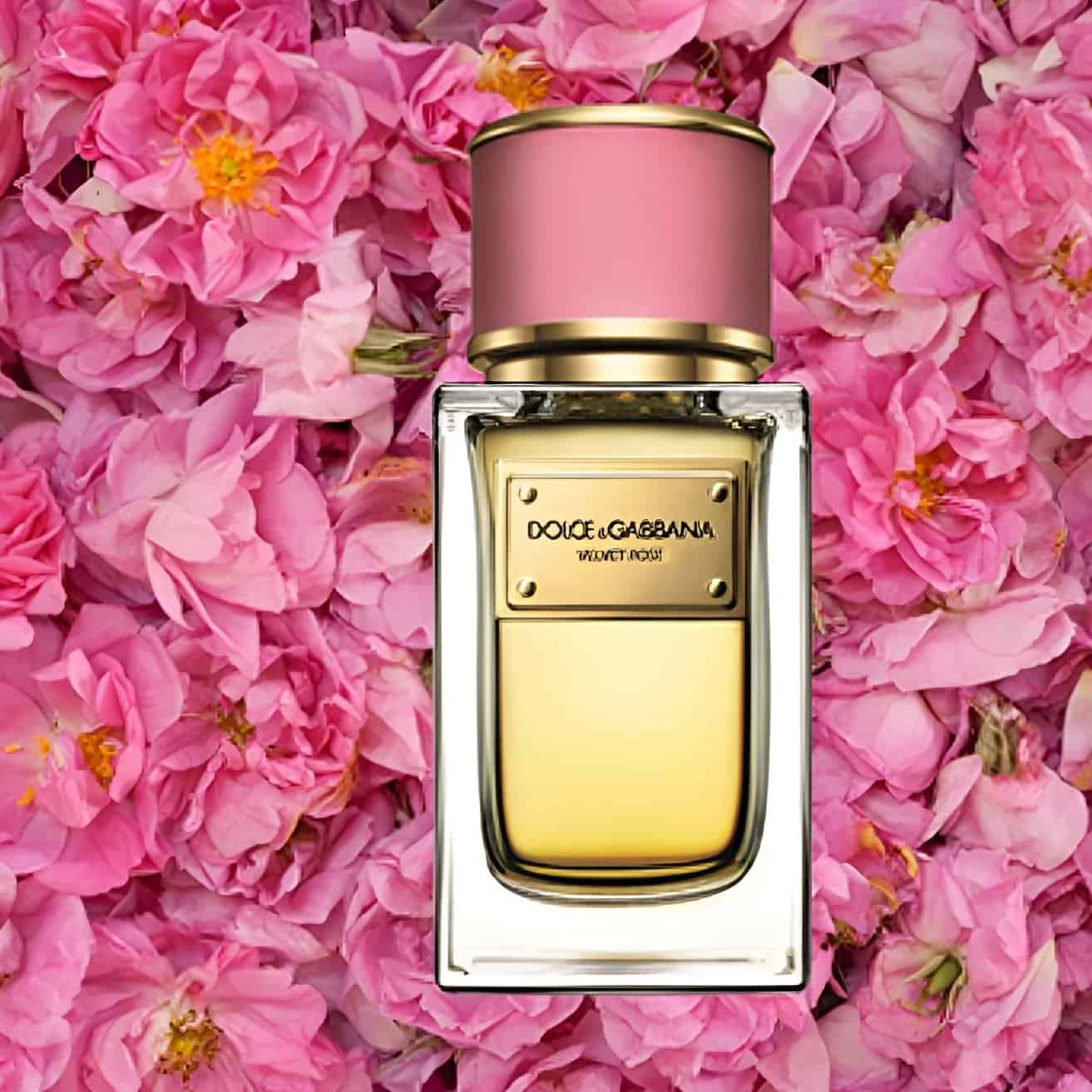 Dolce & Gabbana Velvet Rose EDP عطر فلفت روز من دولتشي اند غابانا - الصورة 1