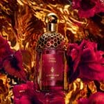 عطر روز اميرا ابسولو أليجوريا من جيرلان