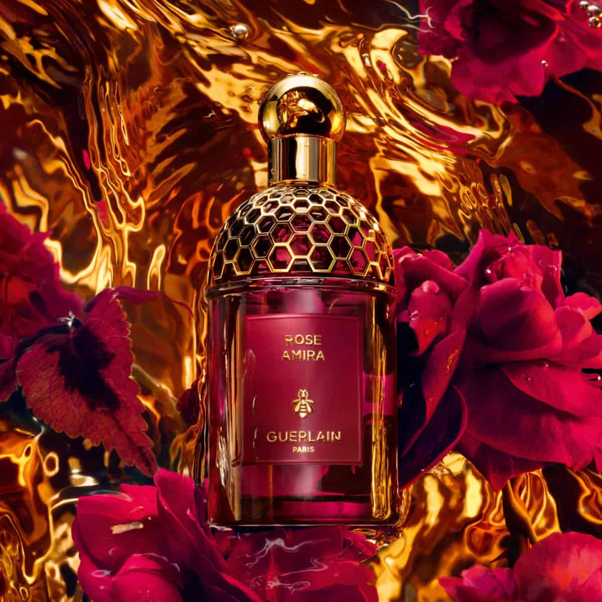 عطر روز اميرا ابسولو أليجوريا من جيرلان