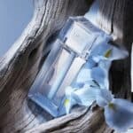 عطر ديور هوم كولون