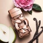 ⁦عطر مايكل كورس بور فيم أبسولو⁩ - الصورة ⁦2⁩