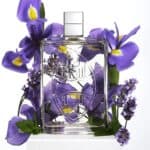 ⁦عطر انيسبيكتد اوريس من مايباخ⁩ - الصورة ⁦2⁩