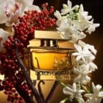 عطر ذا ون أو دو بارفام إنتنس من دولتشي آند غابانا