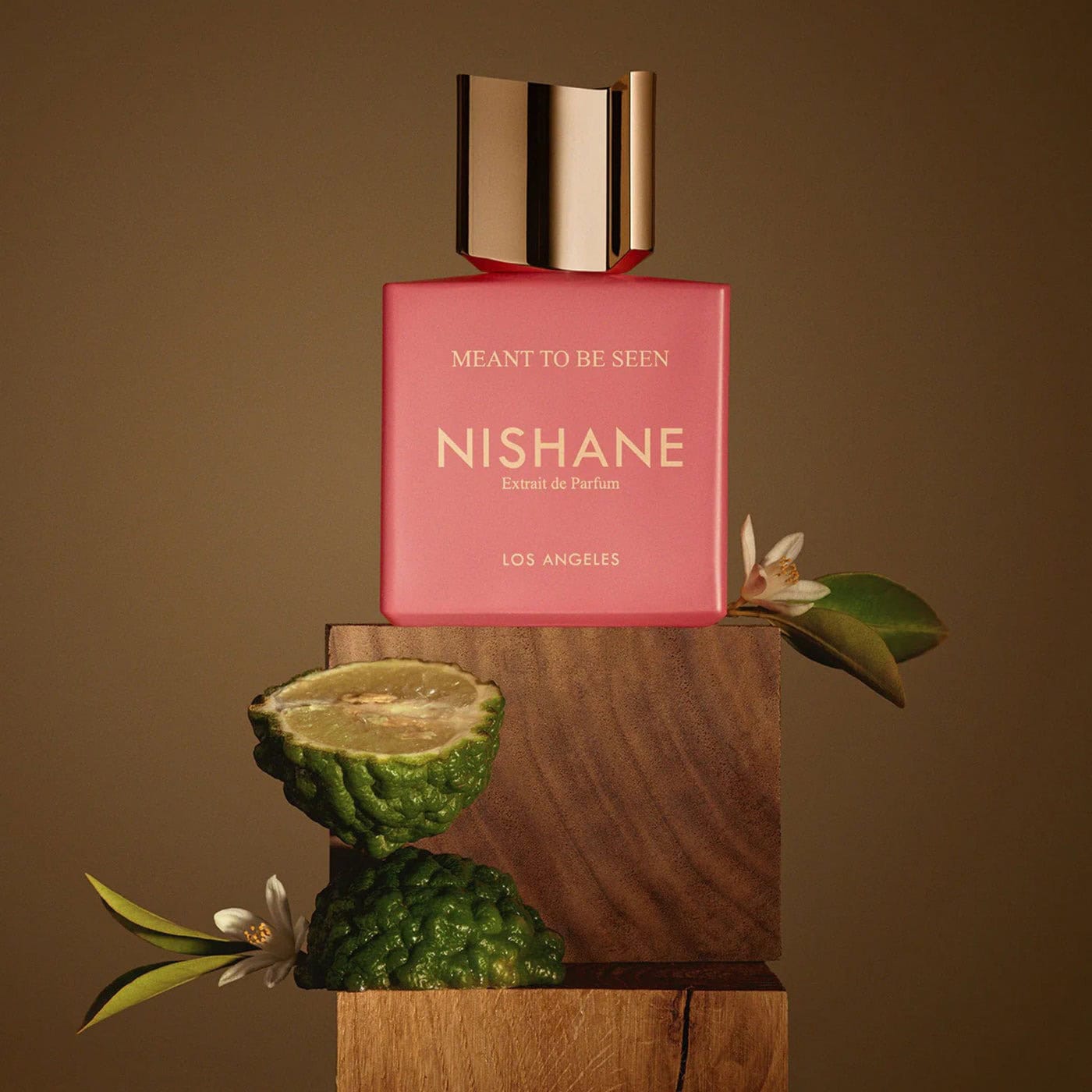 Nishane Meant To Be Seen Extrait De Parfum عطر نيشاني مينت تو بي سين اكسترايت دو بارفيوم - الصورة 1