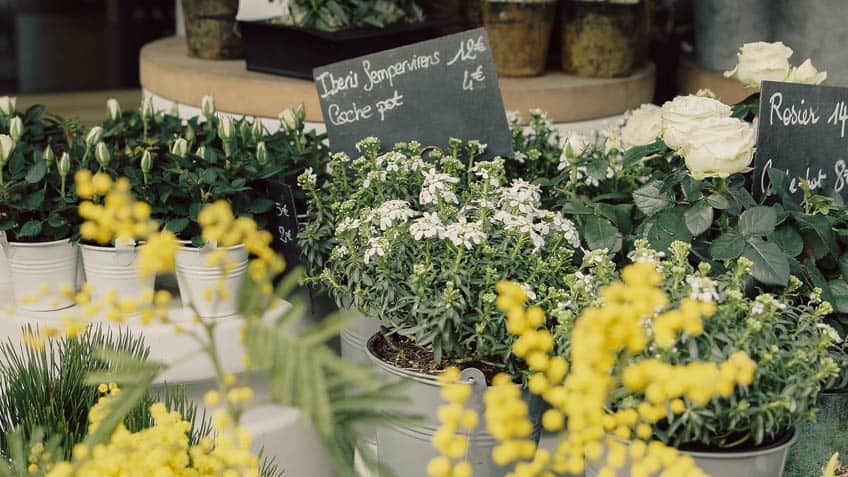 bunch of flowers at a french flower shop in France