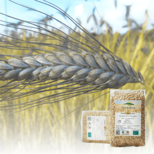 Cereali biologici