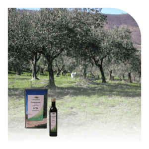 Olio extravergine di oliva biologico