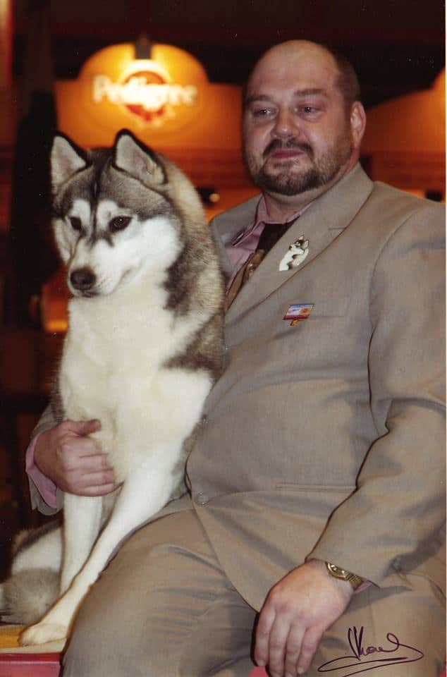 La race de chien Siberian Husky : éducation, caractère 