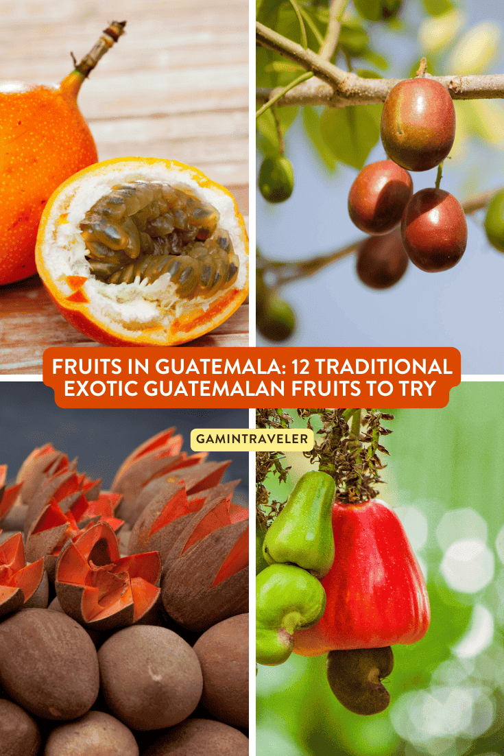 Fruits in Guatemala 12 Exotic Guatemalan Fruits You Should Try