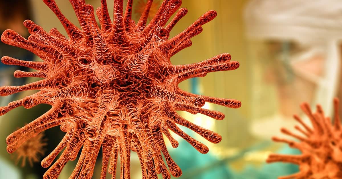 An Old Problem: How immune Responses Weaken with Age
