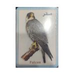 فلاش كارت - الطيور