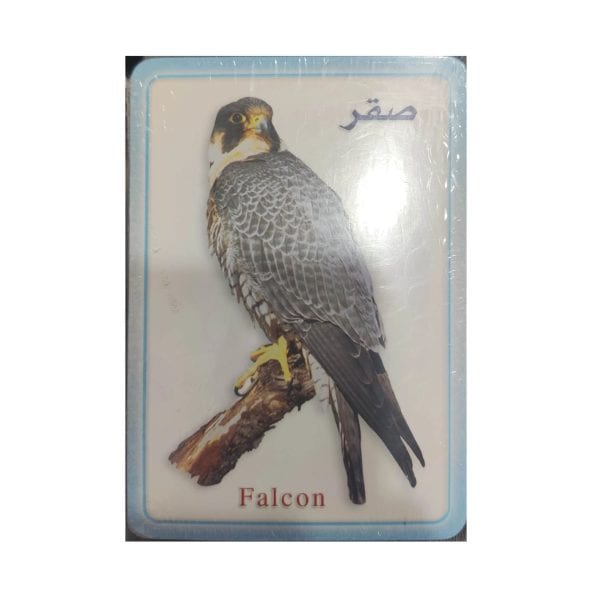 ⁦فلاش كارت - الطيور⁩ - الصورة ⁦1⁩