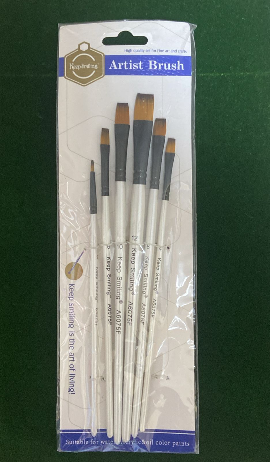 WhatsApp Image 2024-08-19 at 9.18.45 PM Artists Brushes White 6pcs - الصورة 1
