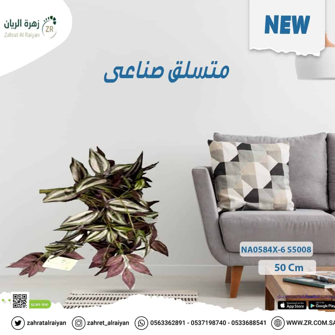 0bea577d-b21b-4c76-85a9-399ec19b96f5 متسلق صناعي من زهرة الريان