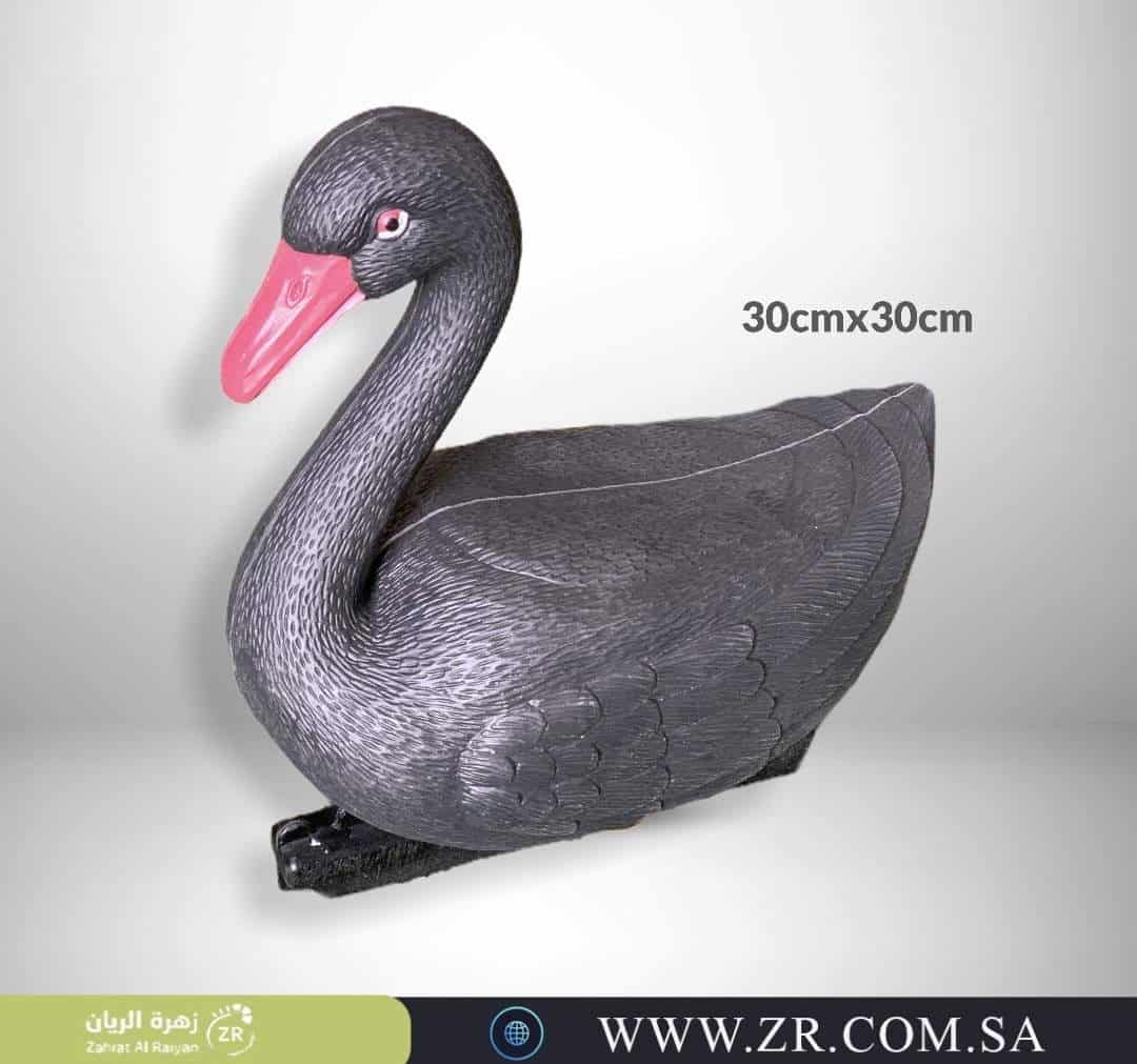 5-1-1.jpg ديكور بطة عائمة - الصورة 1
