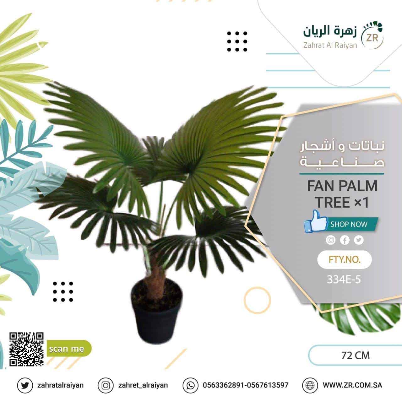 8dc1fbc8-19a2-494c-9746-fd02bbeab5fe.jpg fan palm tree