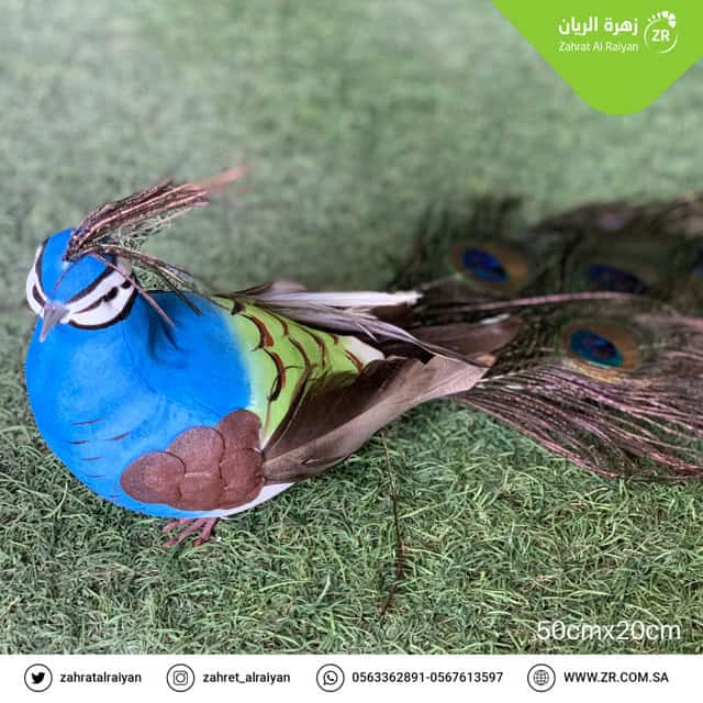 8dfcbdad-aa7d-480a-80f1-6044ff59421e ديكور طير\ صغير - الصورة 1