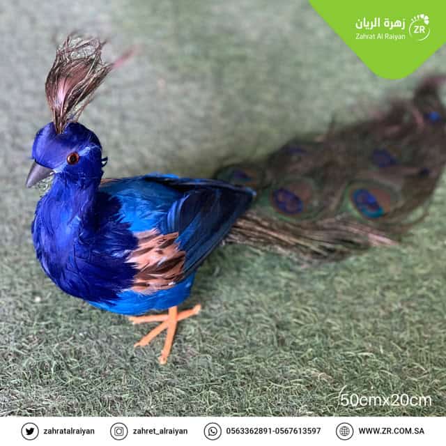 8dfcbdad-aa7d-480a-80f1-6044ff59421e ديكور طاووس \ صغير - Image 1