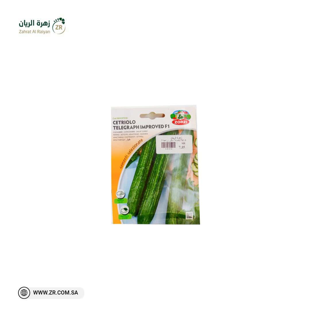 IMG-20220314-WA0030 بذور خيار - Image 1