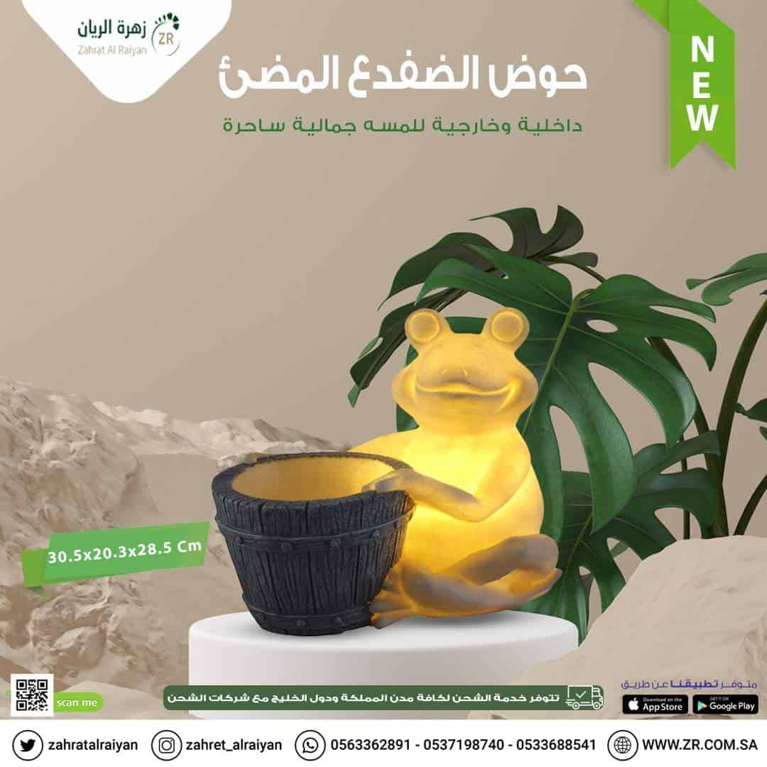 c4aad654-561c-4d04-a452-9721b992a45e.jpg حوض الضفدع المضيء