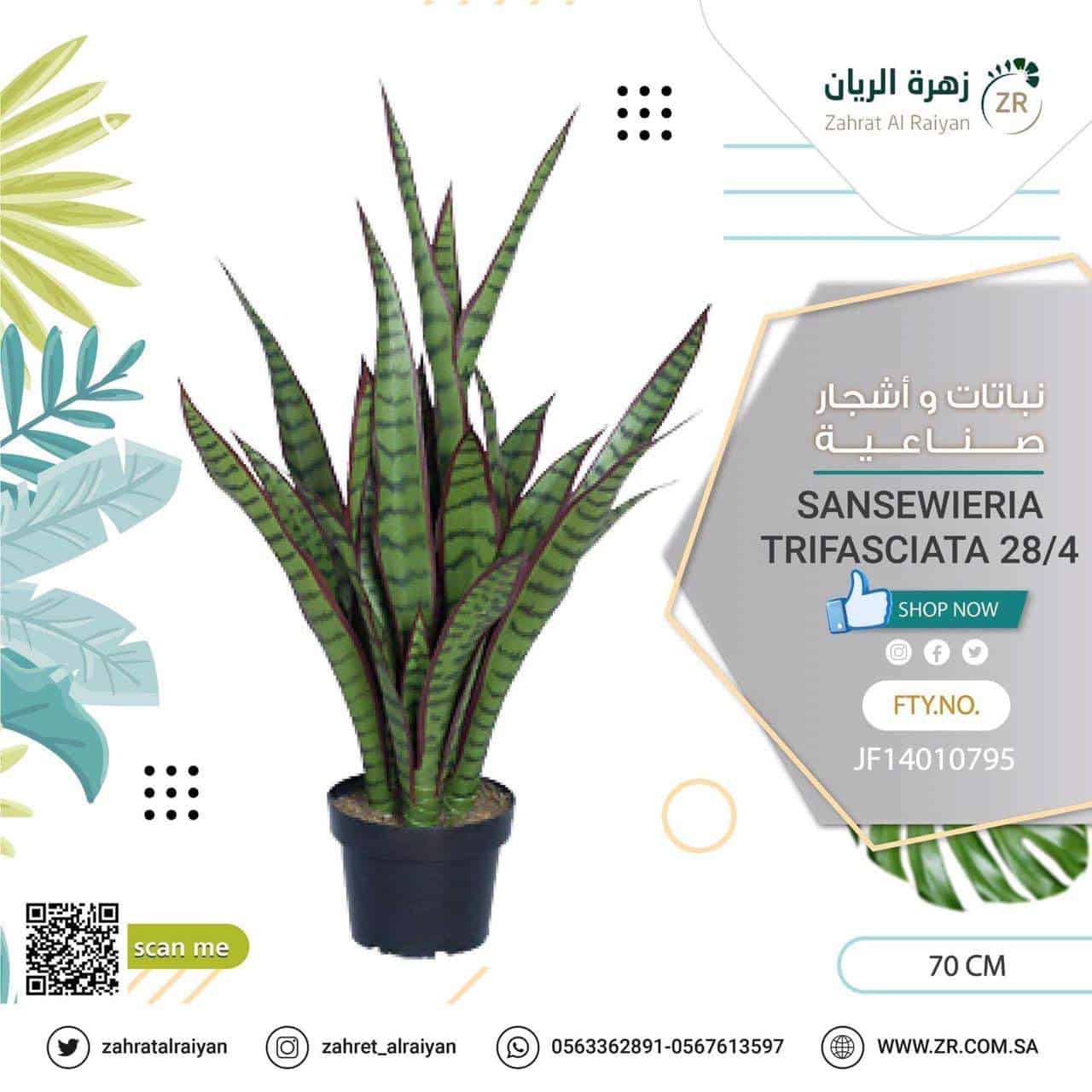 cf8aacde-ca37-426d-bcfb-3df675a0ec27.jpg شجر صناعي ارتفاع 70 سم
