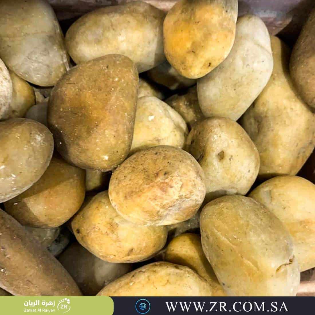 f7ca0193-98f0-47f8-9b16-e0af2c31996b.jpg حجر بيج زينة