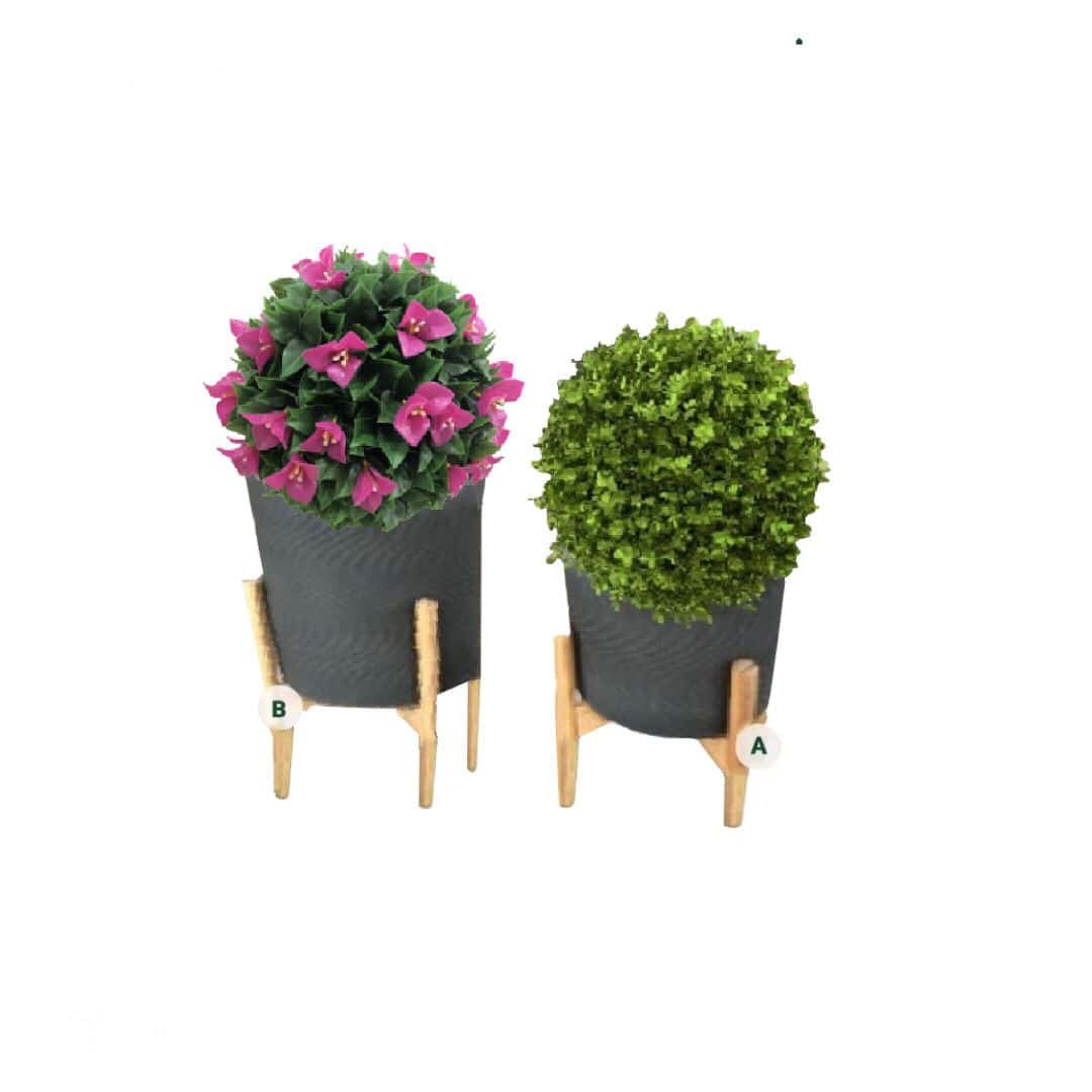 Imported round basins Black Imported Round Planter