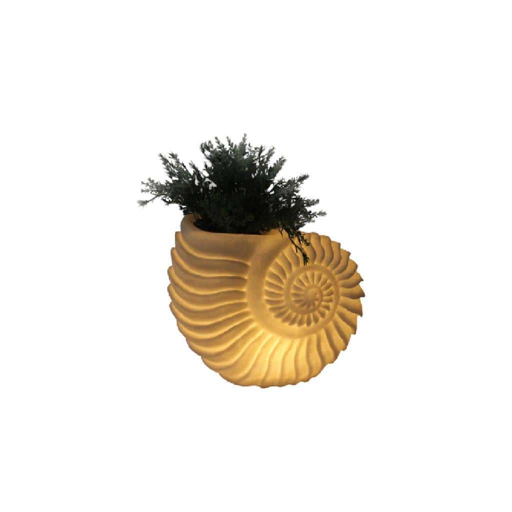 Battery operated shell lighting with basin Battery operated shell lighting with basin