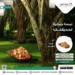 اضاءة علي شكل صدف البحر تعمل علي الكهرباء - Image 2